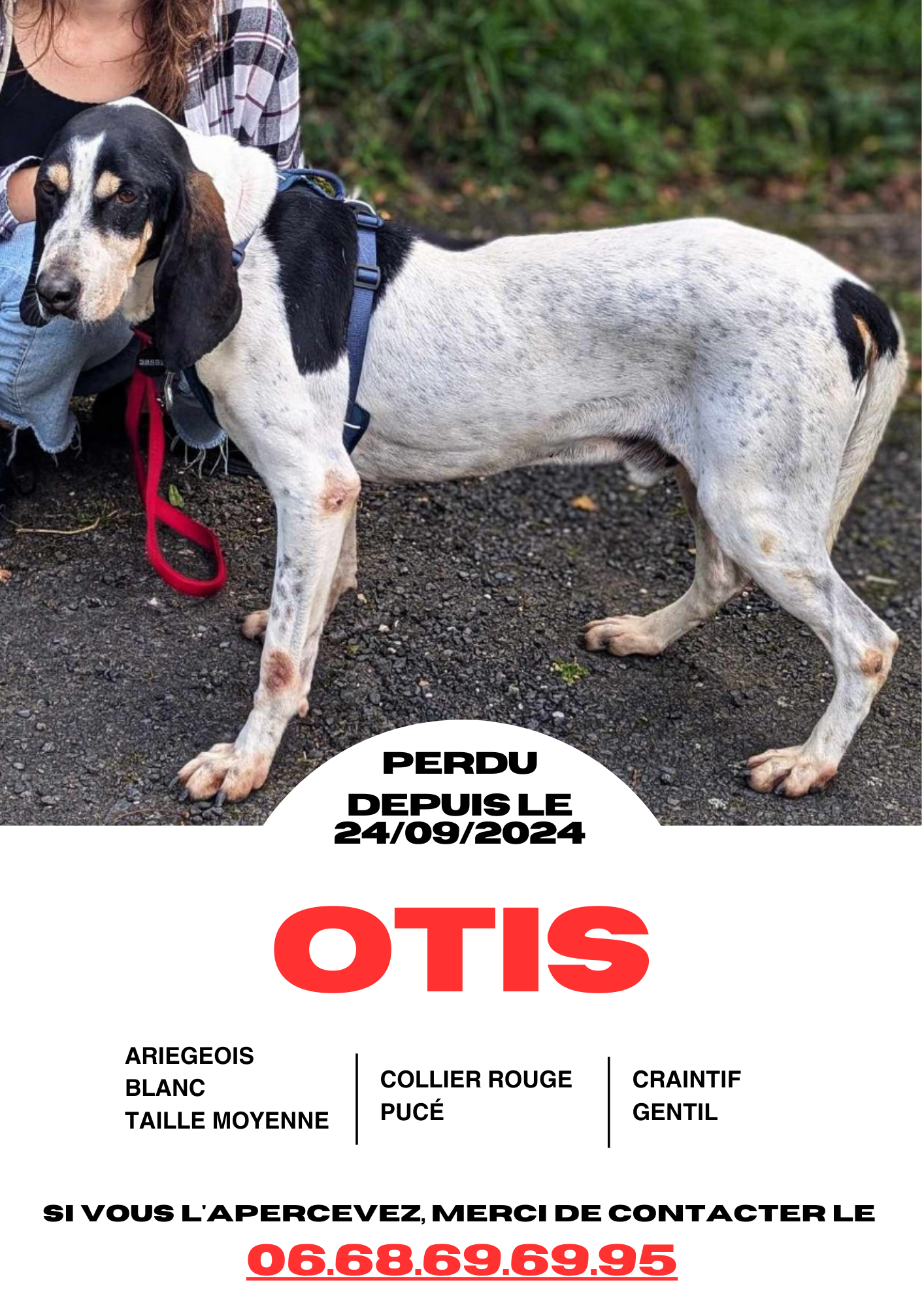 Perdu OTIS (002)