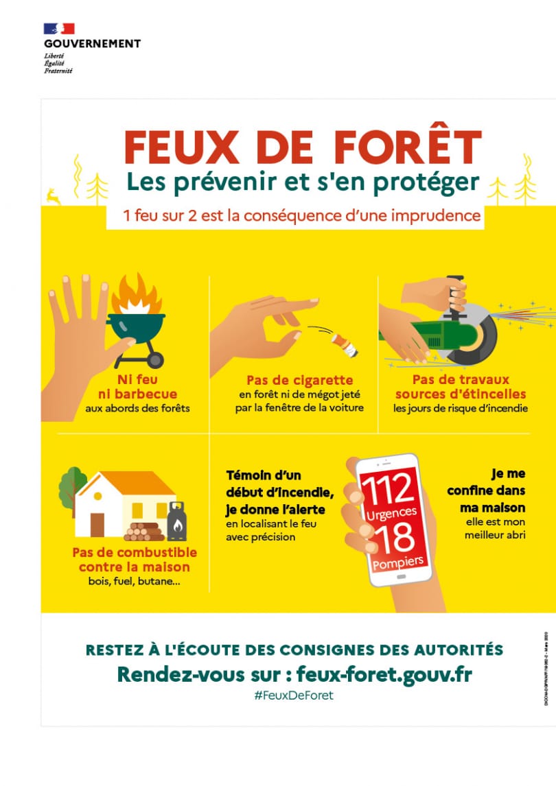 Feux de forêt