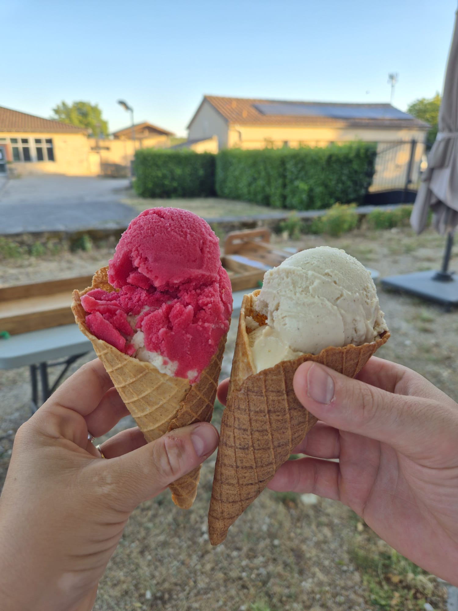 2026_Glaces1